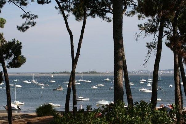 Le Sommet Des Dunes Ξενοδοχείο Lège-Cap-Ferret Δωμάτιο φωτογραφία